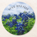 Suche nach bluebonnet untersetzer Lupine