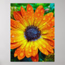 Suche nach gardening poster Floral