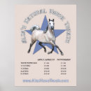 Suche nach arabisches pferd poster Pferde
