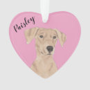 Suche nach pinscher ornamente Personalisiert