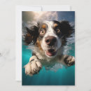Suche nach unterwasser karten Für tierliebhaber