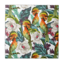 Suche nach exotische vögel fliesen Dschungel