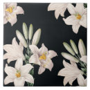 Suche nach schwarze lilie fliesen Botanisch