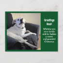 Suche nach der doge postkarten Bezaubernd