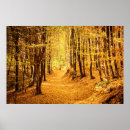 Suche nach waldlandschaft poster Pfad