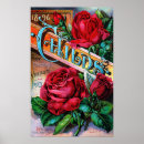 Suche nach vintage rote rosen poster Blume