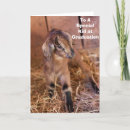 Suche nach tagesbetreuung postkarten Abschluss