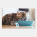 Suche nach tierthemen aufkleber Fotografie