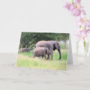 Suche nach pachyderm karten Tier