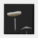 Suche nach pilz magnete Blumen