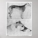 Suche nach pisanello poster Study