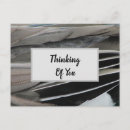 Suche nach vogelfedern postkarten Modern