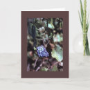 Suche nach weinstock karten Für alle