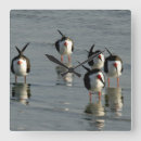 Suche nach shore bird wanduhren Nature