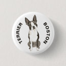 Suche nach dog breed Boston terrier