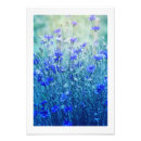 Suche nach wildblume fotodruck Natur