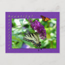 Suche nach schöner schmetterling postkarten Schmetterlinge