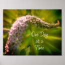 Suche nach weiße wildblumen poster Für sie