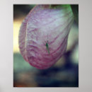 Suche nach besucher poster Blumenreich