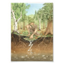 Suche nach droge poster Natur