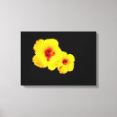 Suche nach hibiskus blume leinwandbilder Für alle