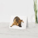 Suche nach gsd karten Schäfer