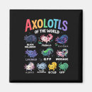 Suche nach axolotl magnete Cartoon