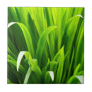 Suche nach gras ist grüner fliesen Muster