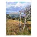 Suche nach wal foto poster Natur