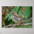 Suche nach nur jugendliche poster Jede person