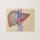 Suche nach medizinisch puzzle Arztpraxis