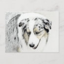Suche nach australian shepherd postkarten Australschäfer