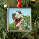 Suche nach tyrannosaurus rex ornamente Für alle