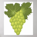 Suche nach trauben poster Weinberge