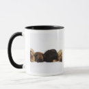 Suche nach pekingese tassen Horizontal