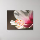 Suche nach rosa weiß leinwandbilder Tropisch