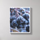 Suche nach frost leinwandbilder Winter