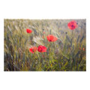 Suche nach weizen poster Frisch