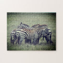 Suche nach zebrastreifen puzzle Tiere