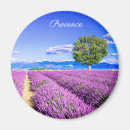 Suche nach provence magnete Lavendel