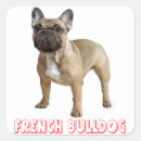 Suche nach french bulldog aufkleber Franchise