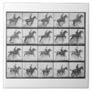 Suche nach zaun fliesen Pferd