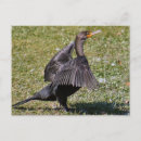 Suche nach doppelt postkarten Foto