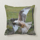 Suche nach rotkehlchen kissen Natur