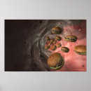 Suche nach blutgefäße poster Horizontal