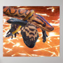 Suche nach reptilien poster Schlangen
