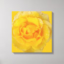 Suche nach gelbe rosen leinwandbilder Blumig