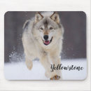 Suche nach wilder wolf mousepads Wild lebende tiere