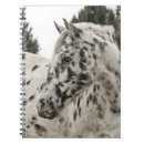 Suche nach schwarzes pferd kleine notizbücher Western