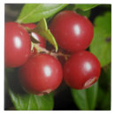 Suche nach cluster fliesen Makro